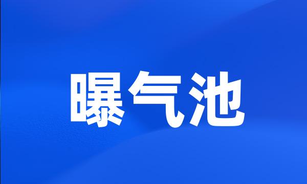 曝气池