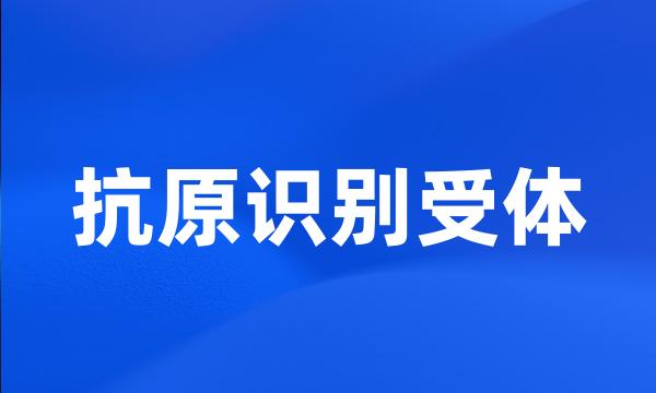 抗原识别受体