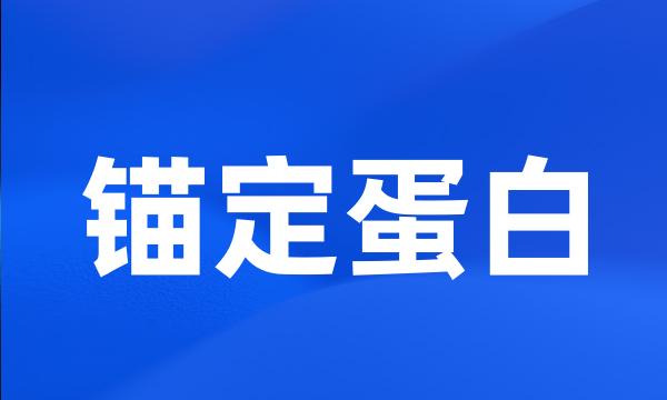 锚定蛋白