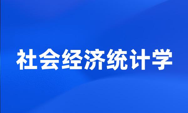 社会经济统计学