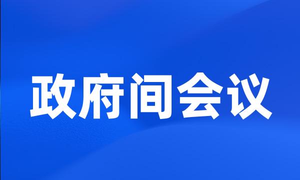 政府间会议