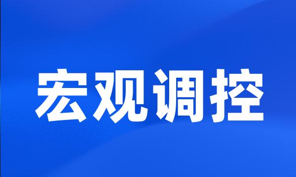 宏观调控