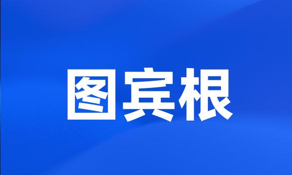 图宾根