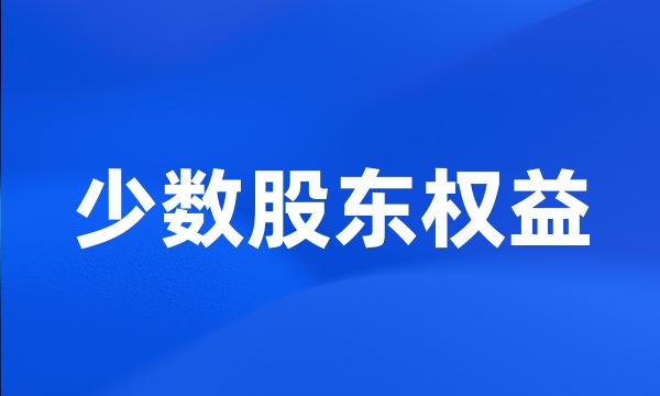 少数股东权益