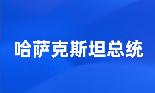 哈萨克斯坦总统