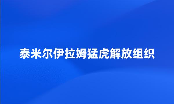 泰米尔伊拉姆猛虎解放组织