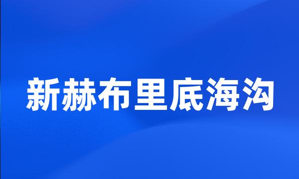 新赫布里底海沟