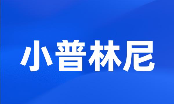 小普林尼