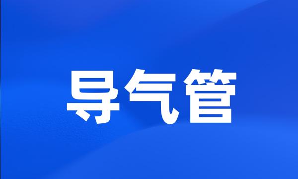 导气管