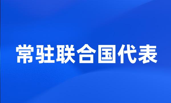 常驻联合国代表