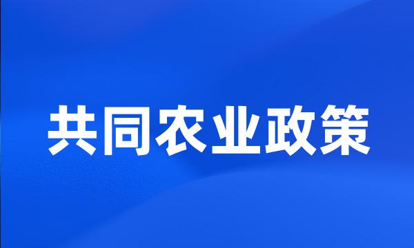 共同农业政策