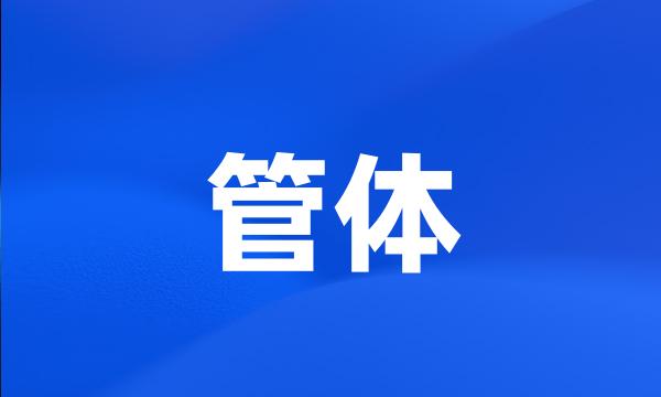 管体