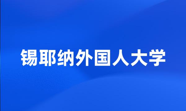 锡耶纳外国人大学