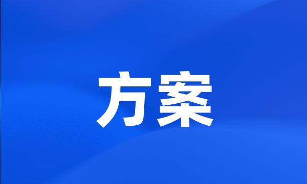 方案