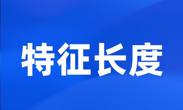 特征长度