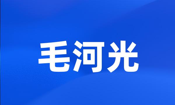 毛河光