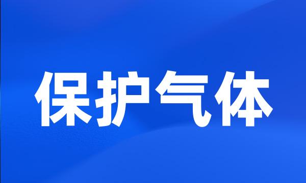 保护气体