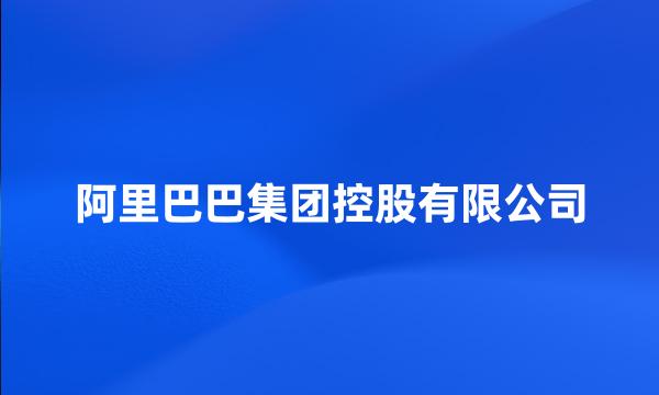 阿里巴巴集团控股有限公司