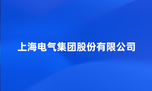 上海电气集团股份有限公司