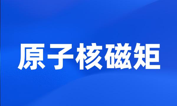 原子核磁矩