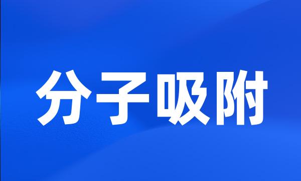 分子吸附