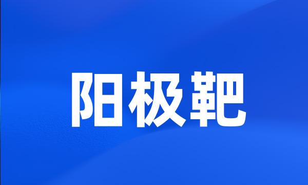 阳极靶