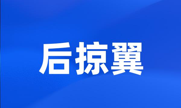 后掠翼