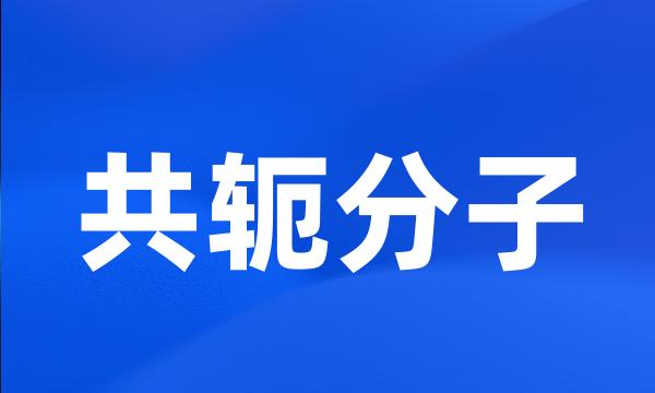 共轭分子