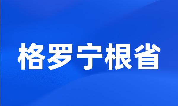 格罗宁根省