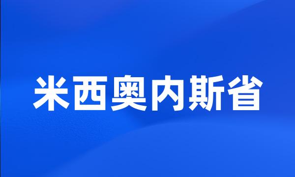 米西奥内斯省