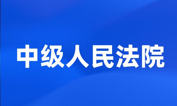 中级人民法院