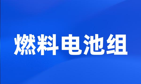 燃料电池组