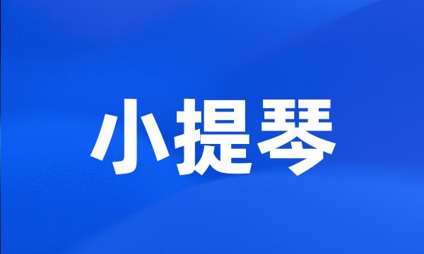 小提琴