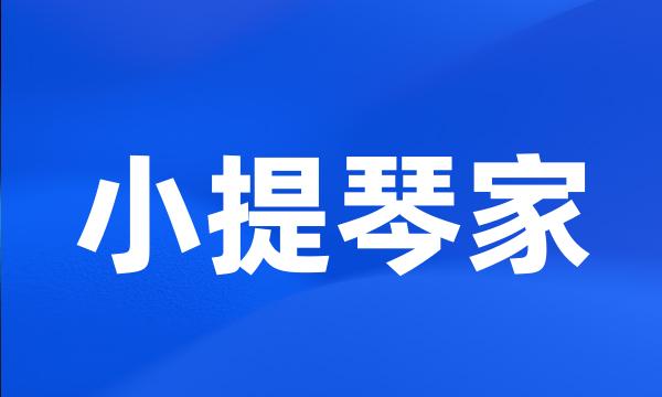 小提琴家