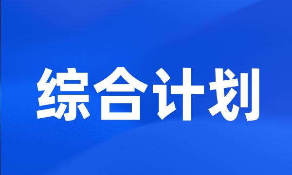 综合计划