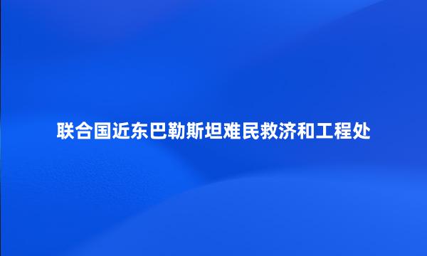 联合国近东巴勒斯坦难民救济和工程处