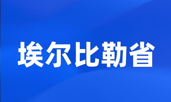 埃尔比勒省