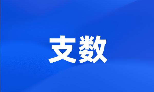 支数