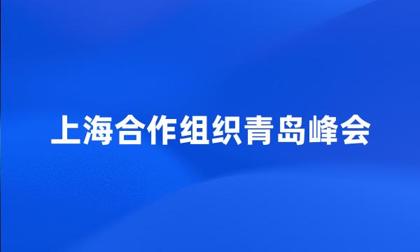 上海合作组织青岛峰会