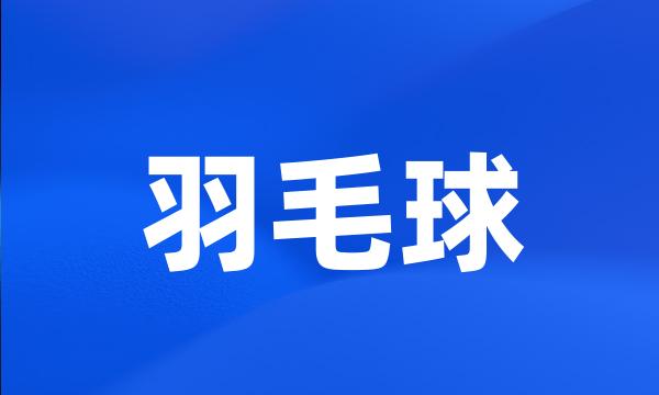 羽毛球