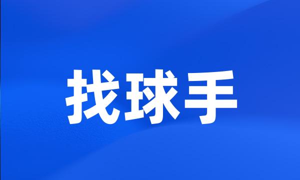 找球手