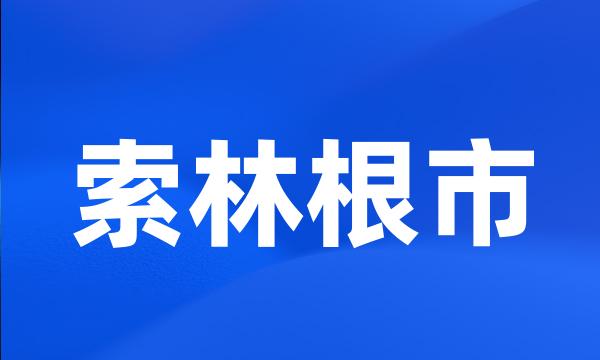 索林根市