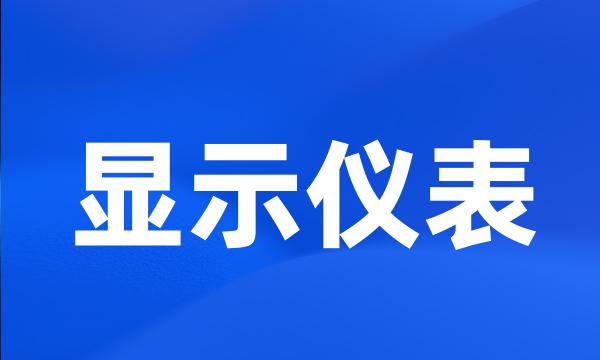 显示仪表