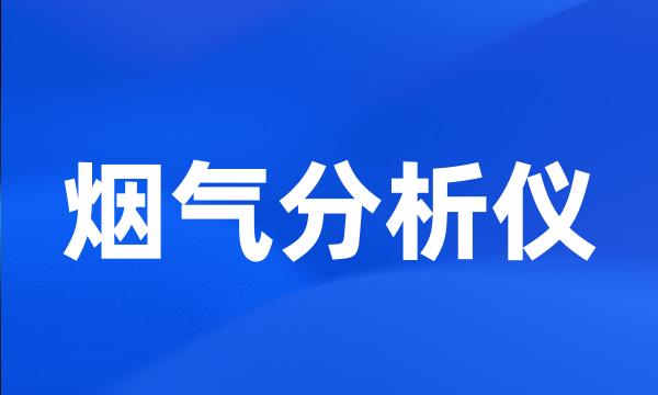 烟气分析仪