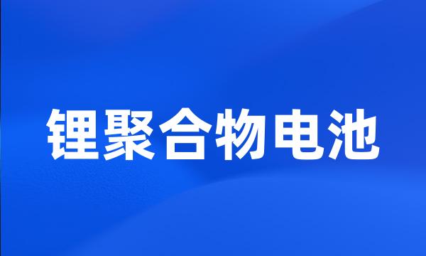 锂聚合物电池