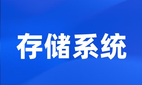 存储系统