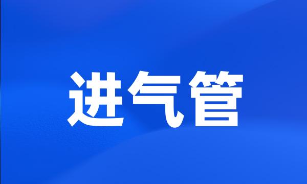 进气管