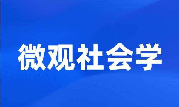 微观社会学