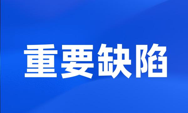 重要缺陷