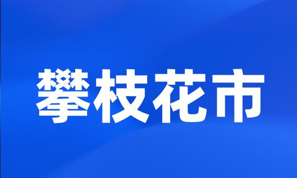 攀枝花市